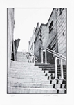 Picture of Steps, Westfield Road