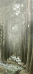 Picture of Misty Tall Trees, Dalby Forest