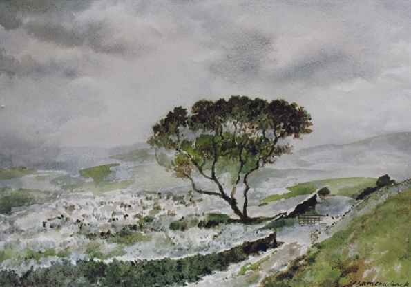 Picture of Langcliffe Moor, Ribblesdale