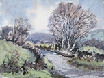 Picture of Trees, Wharfedale