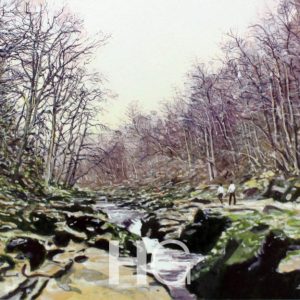 A Winter stroll through Strid Woods. Bolton Abbey, Wharfedale