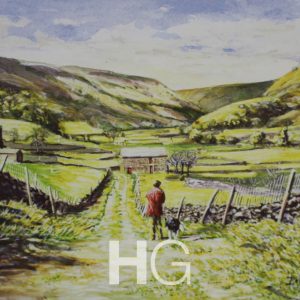 Walking a lane. Swaledale