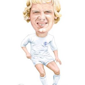 Terry Yorath